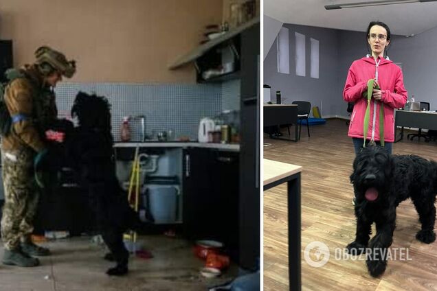 Пес, которого спасли военные в Ирпене и фото с которым облетело мир, нашел хозяев