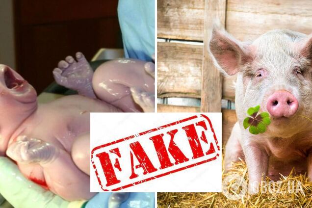 В сети запустили фейк, что в Украине создали гибрид человека и свиньи: разоблачение