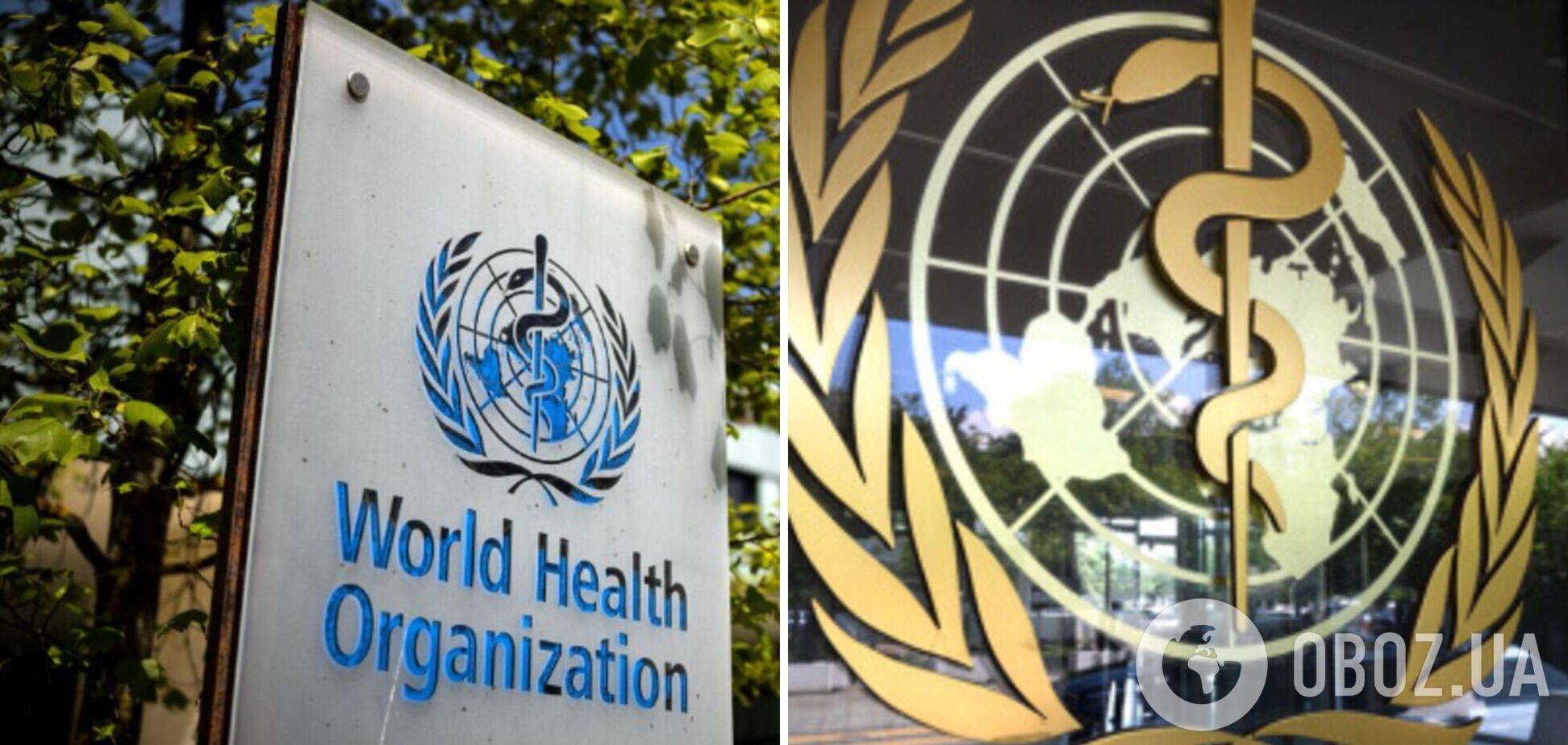 В ВОЗ приняли резолюцию в отношении России: офис организации в Москве могут закрыть