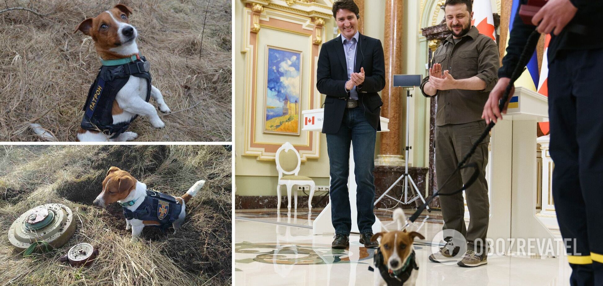 Джастін Трюдо у Twitter розповів про українського собаку-сапера Патрона. Фото