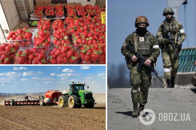 Бесплатная вода и дорогие овощи: как в Крыму наживаются на награбленном в Украине