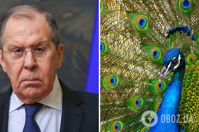 'С павлинами поговори': Лавров нахамил журналисту в ответ на просьбу об интервью. Видео