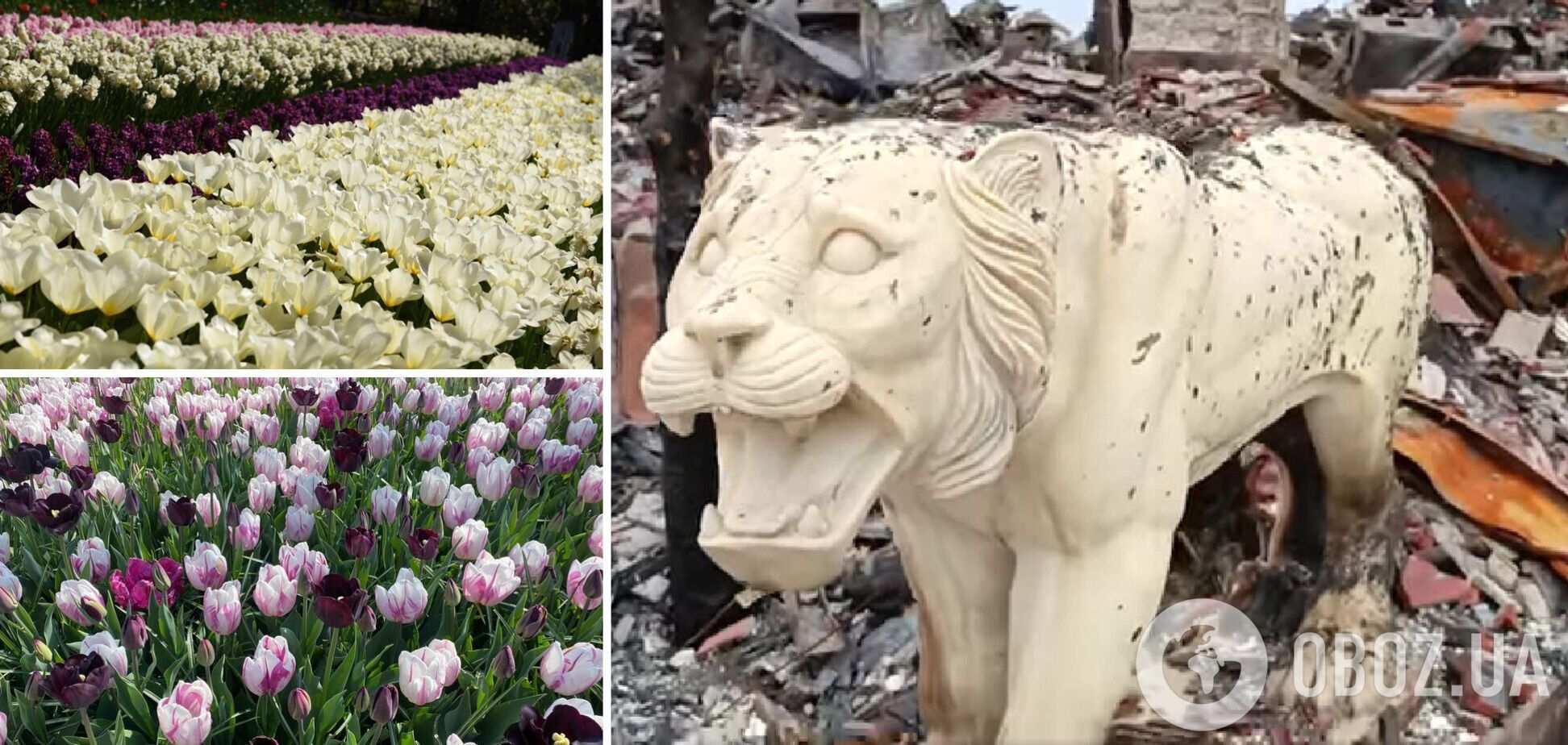 Парк сильно пострадал в результате обстрелов оккупантов