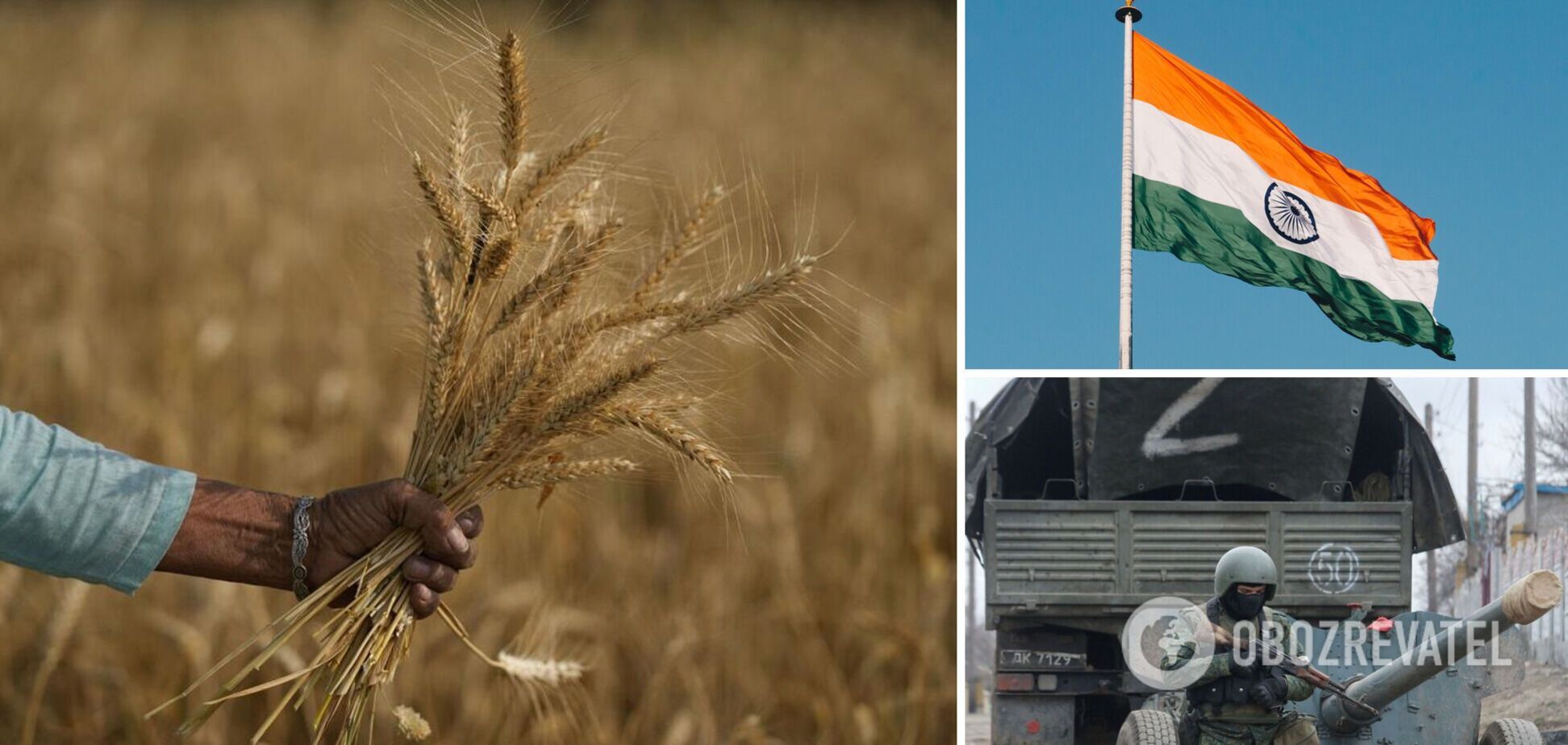 Індія забороняє експорт пшениці
