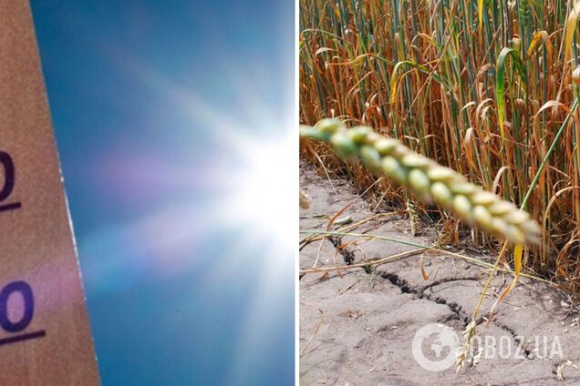 Ученые прогнозируют засушливое лето в Европе и США