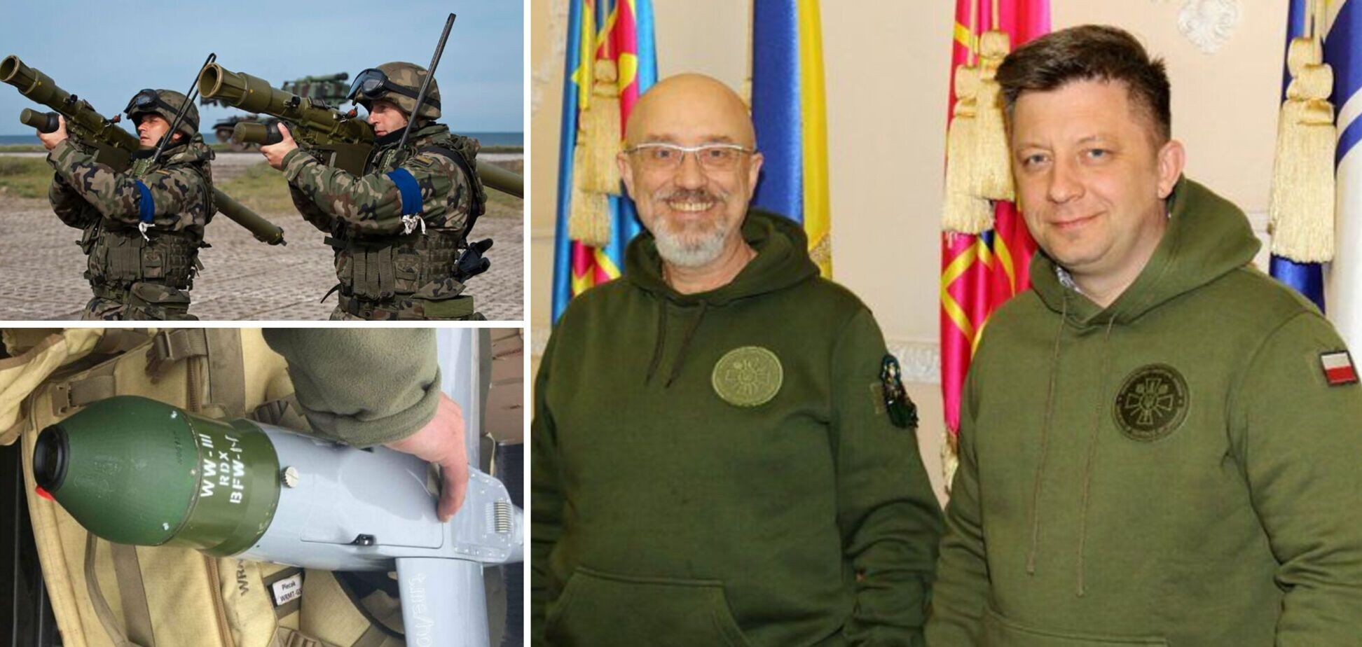 Резников: ВСУ успешно уничтожают врага польскими Pioruns и Warmates