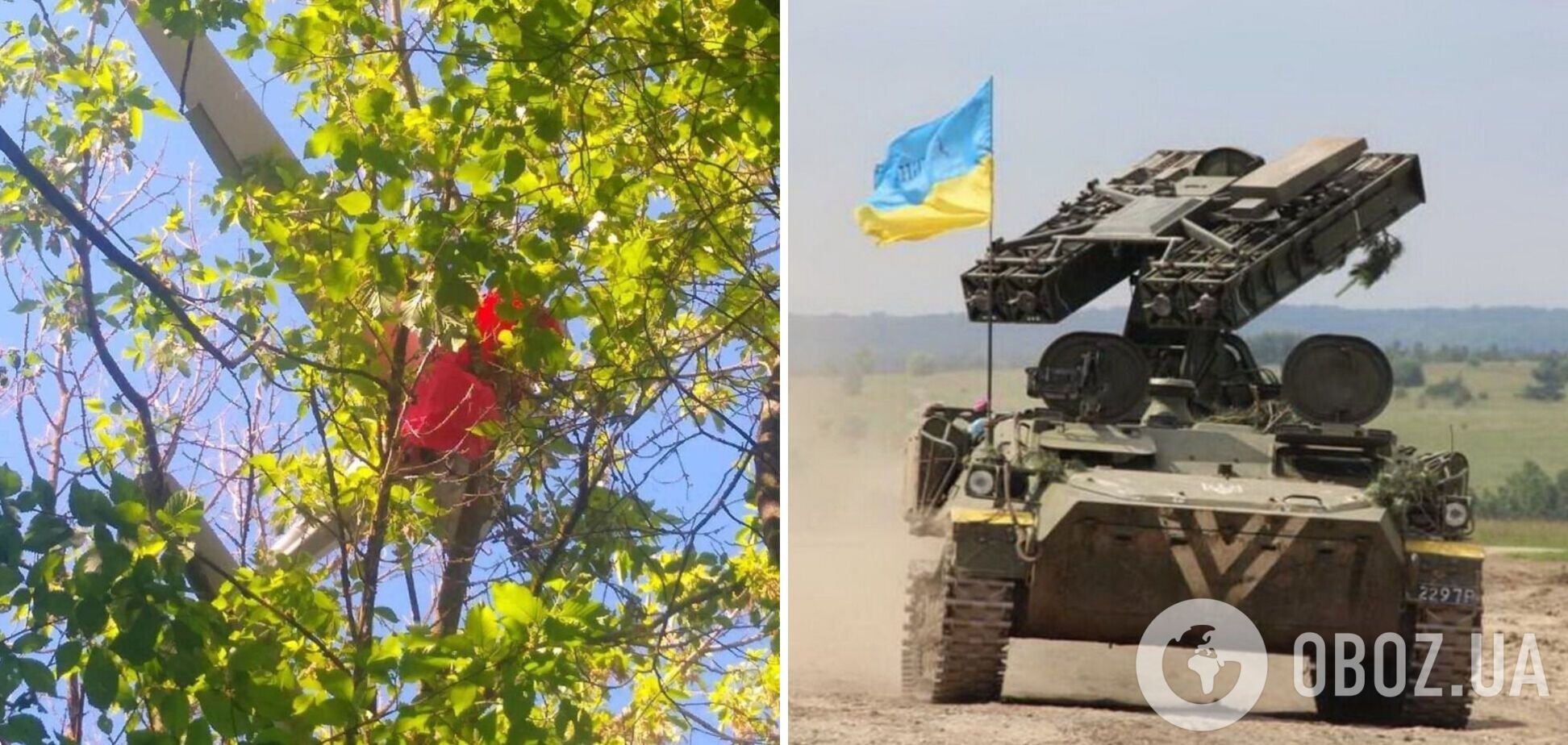 Українські захисники збили ворожу 'пташку': повисла на дереві. Фото