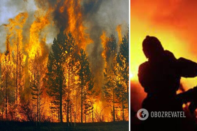 Возле Чернобыля вспыхнули мощные лесные пожары: запах гари добрался до Киева. Видео 18+