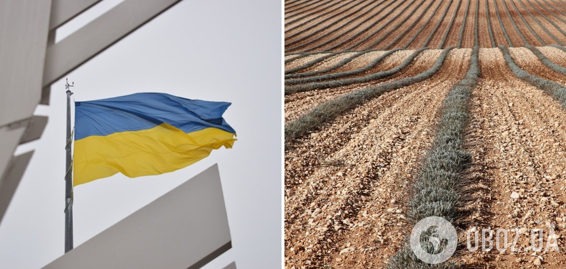 Государственный земельный кадастр возобновил работу