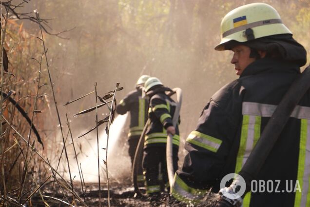 1 мая спасатели 5 раз тушили пожары в экосистемах