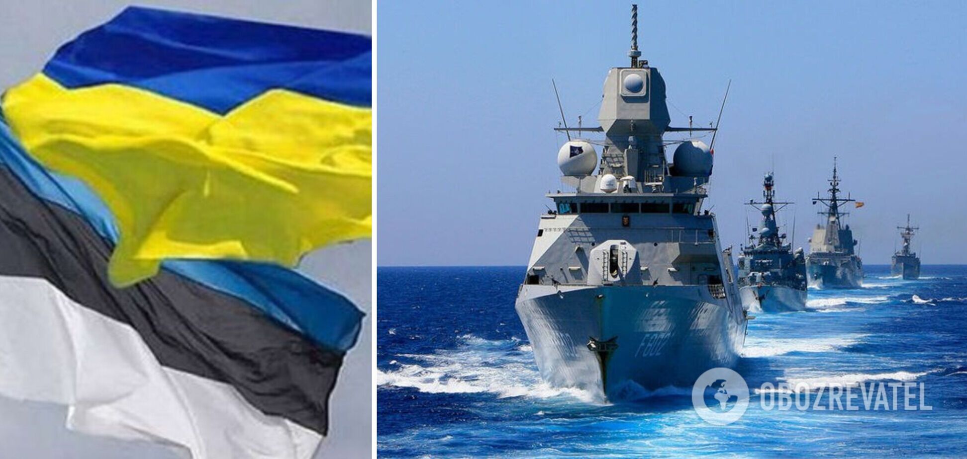 В Эстонии призвали ввести корабли НАТО в Черное море для деблокады портов