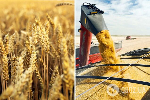 Через розв'язану Росією війну проти України у світі критично скоротилися продовольчі запаси