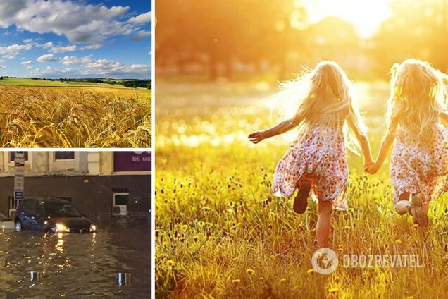 Жара, засуха и ливни: синоптики рассказали, какого урожая ждать от такой погоды