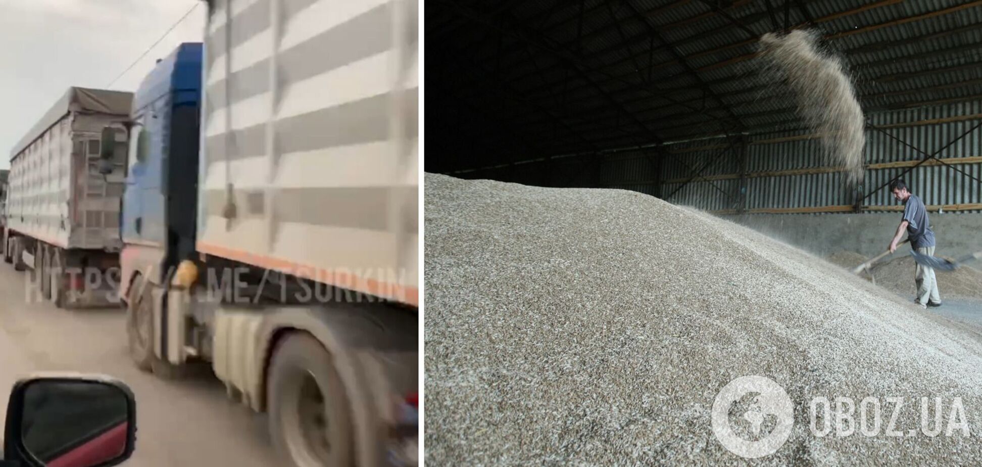 Оккупанты везут зерно в Крым целыми караванами фур