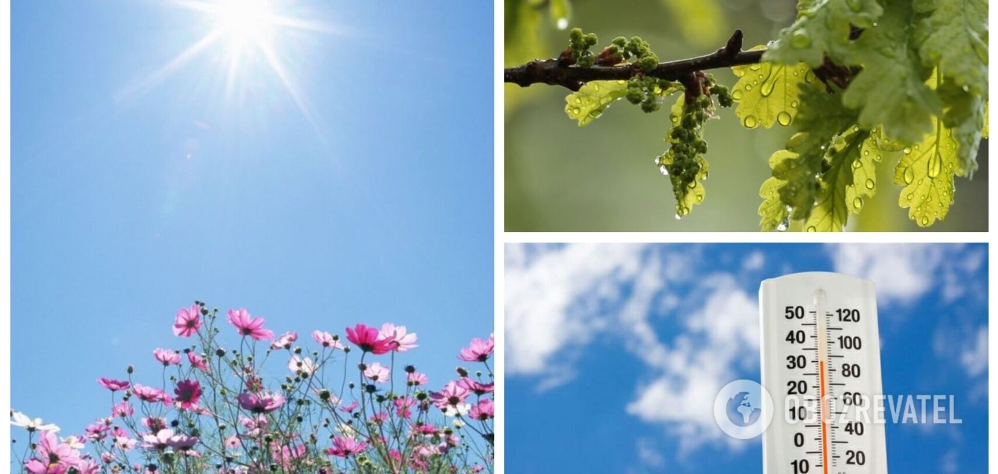 В Україну у червні увірветься справжня спека, але будуть 'сюрпризи': прогноз синоптиків на літо