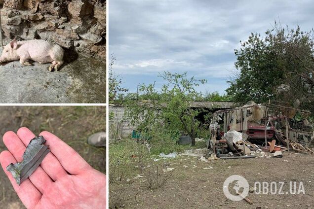 Оккупанты обстреляли села на Запорожье, повреждены дома: есть пострадавшие. Фото