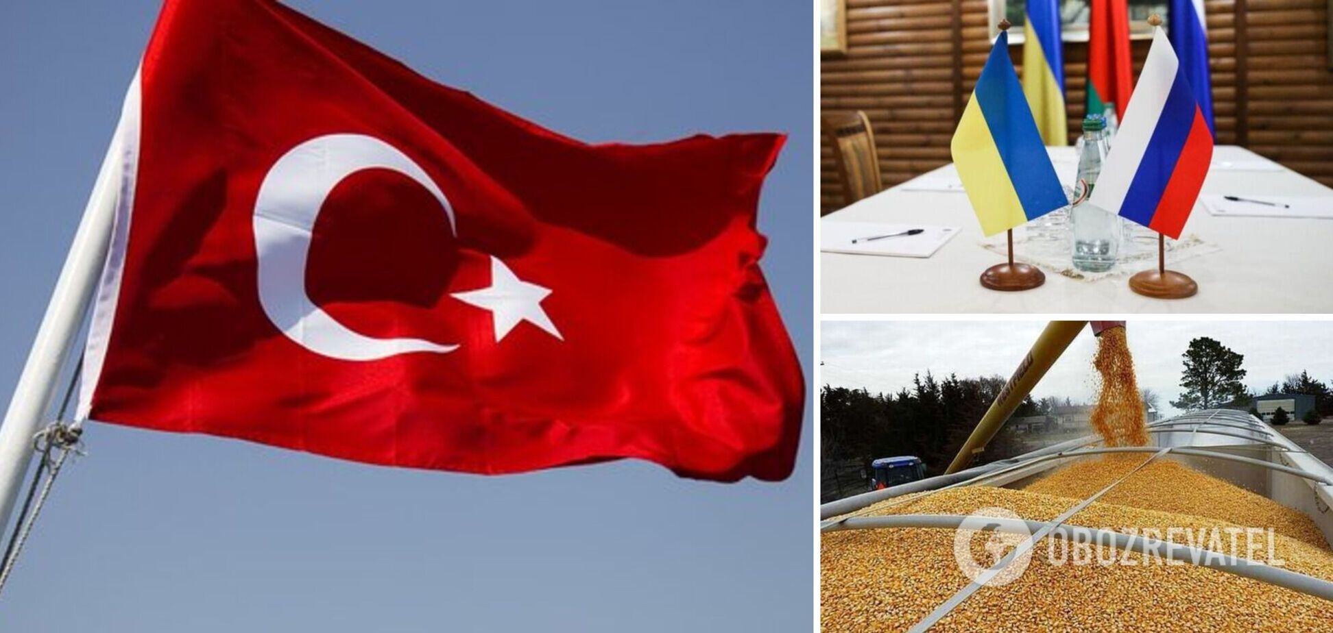В Турции обсудят экспорт зерна из Украины