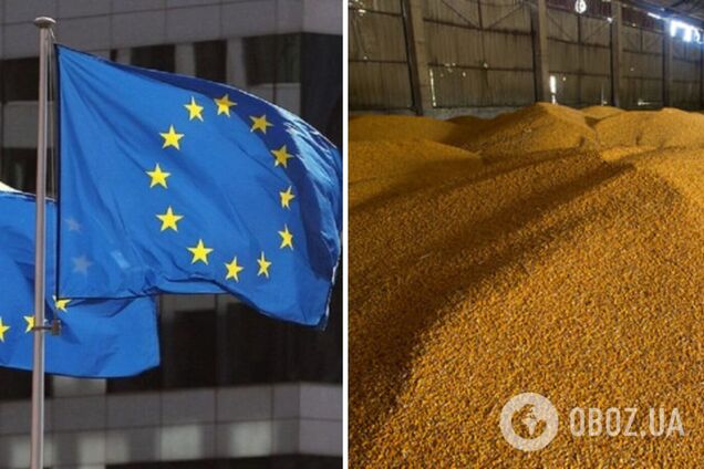 Украинское зерно идет в ряд стран ЕС по упрощенной процедуре