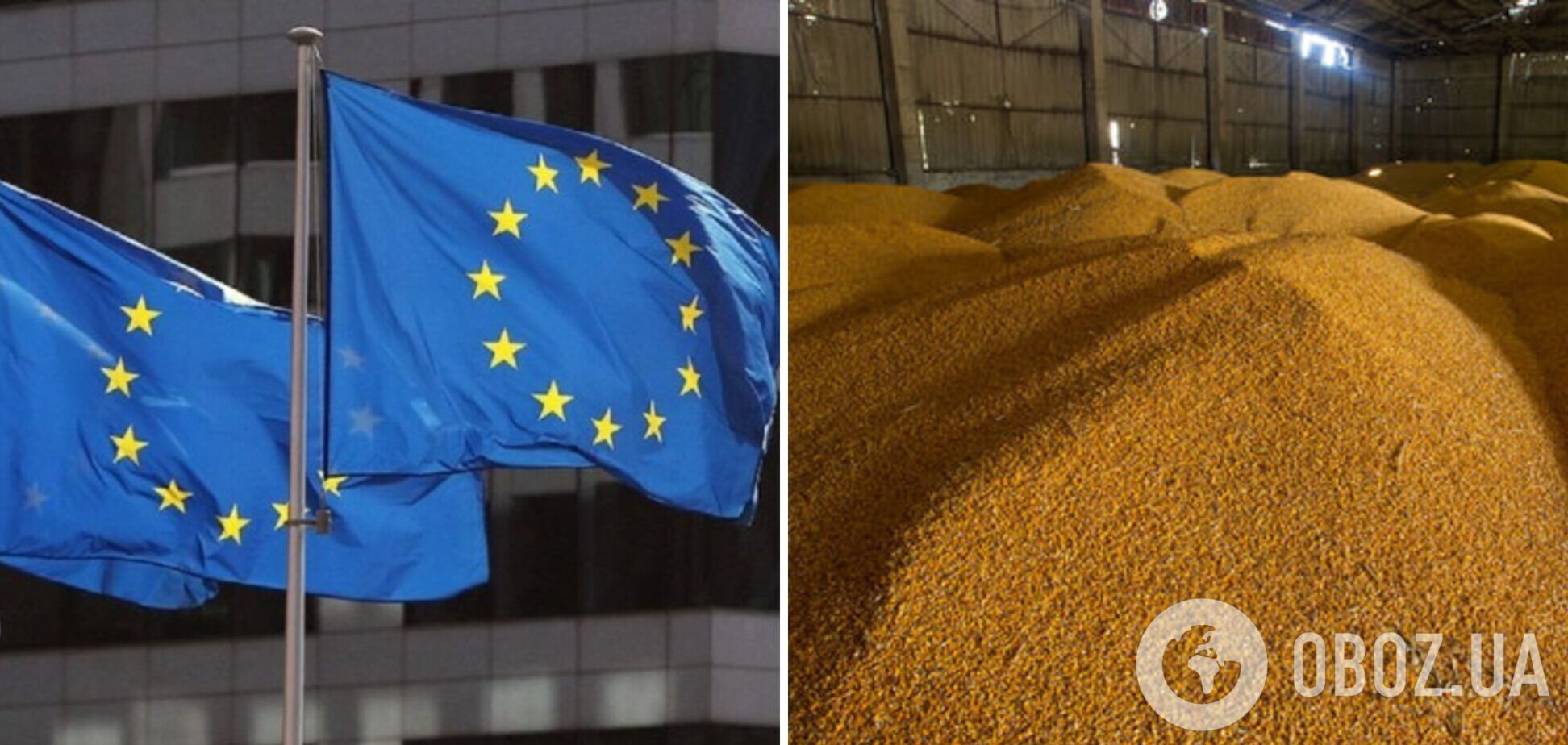 Украинское зерно идет в ряд стран ЕС по упрощенной процедуре