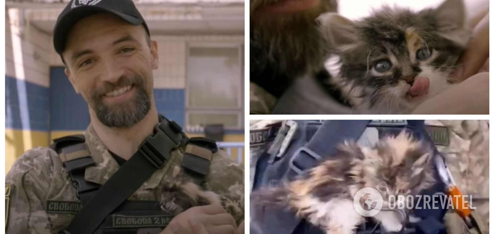 Украинский военный, ставший героем вирусного видео с котенком, рассказал о спасении пушистика. Видео