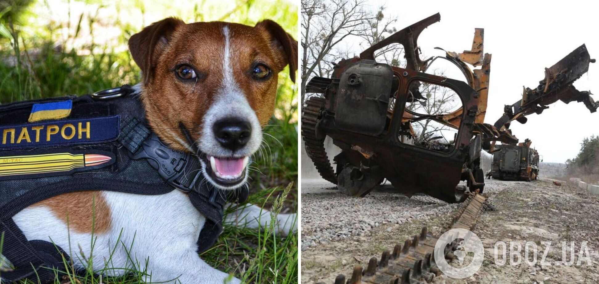 Пес Патрон спрогнозировал, когда закончится война с Россией