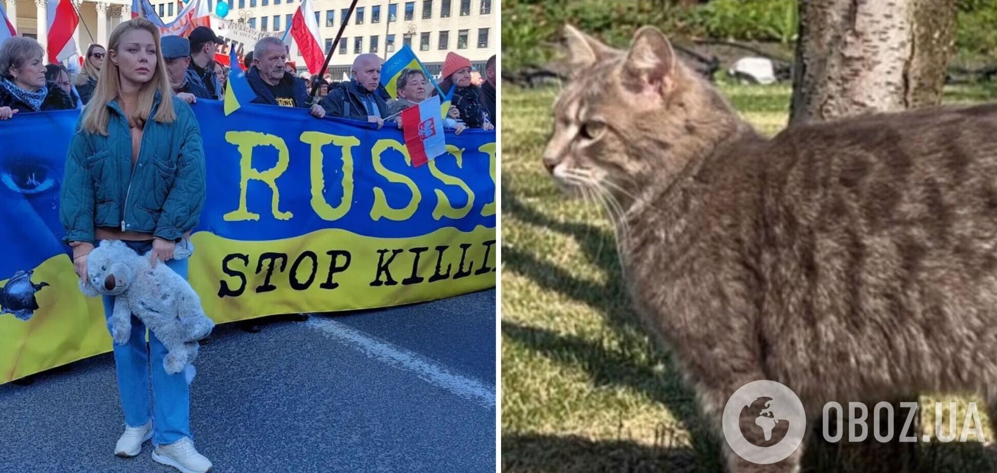 Кароль показала кошку, которую назвала Джавелиной