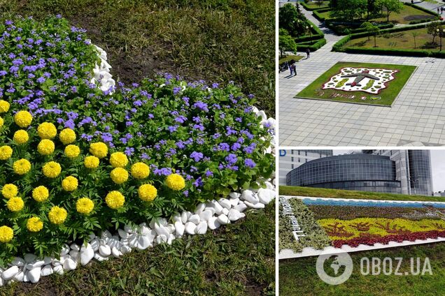 Коммунальщики создали 30 патриотических цветочных композиций