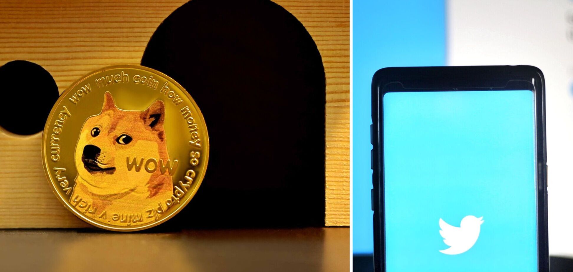 Shiba Inu залишилася 'сиротою', але спільнота не здивована