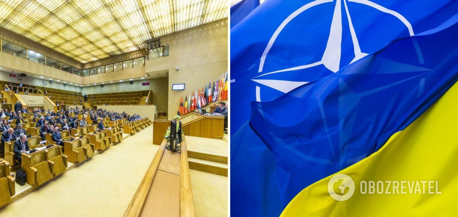 ПА НАТО приняла декларацию о поддержке евроатлантического курса Украины с призывом передать больше тяжелого оружия
