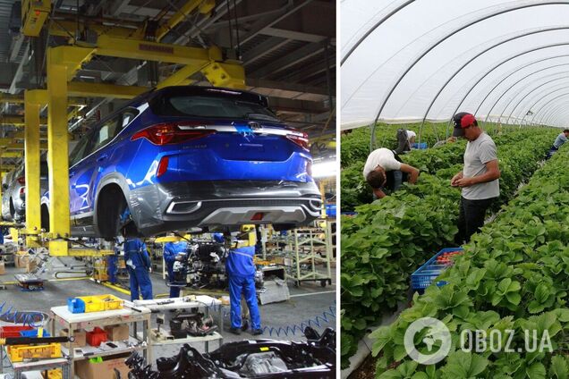 'Автотор' запропонував працівникам роботу на літо