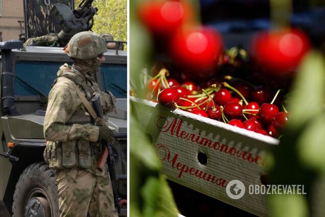 Мелітопольську черешню хочуть відвезти до Росії