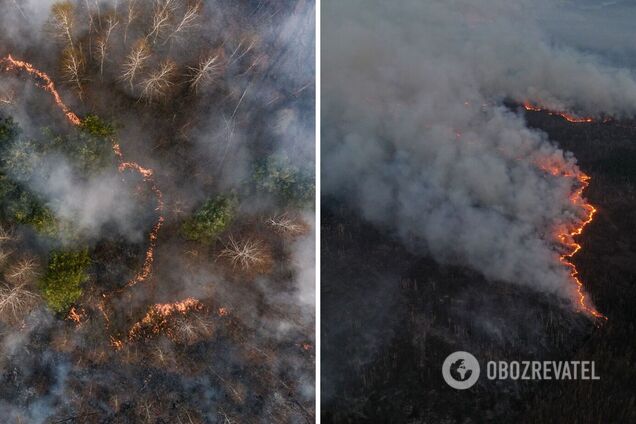 На Харківщині внаслідок ворожих обстрілів спалахнув ліс. Фото і відео