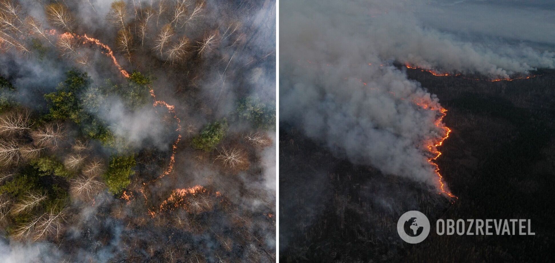 На Харківщині внаслідок ворожих обстрілів спалахнув ліс. Фото і відео