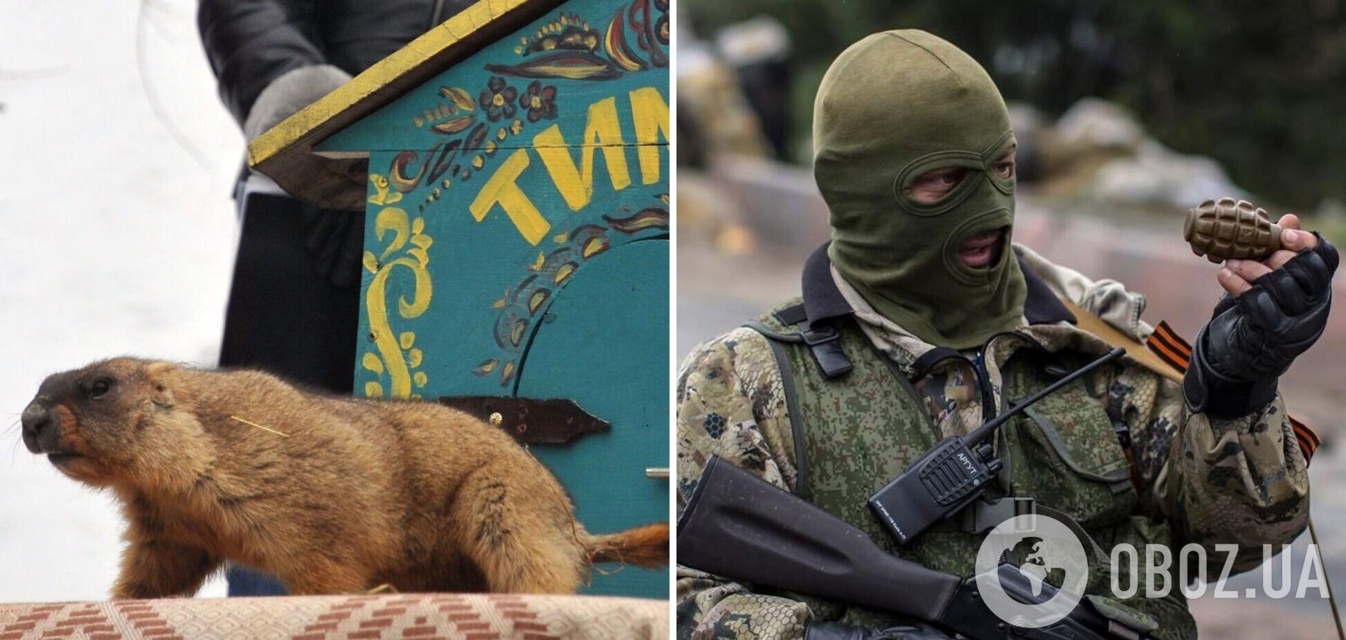 Харьковский сурок-предсказатель Тимка оказался в оккупации: появились подробности