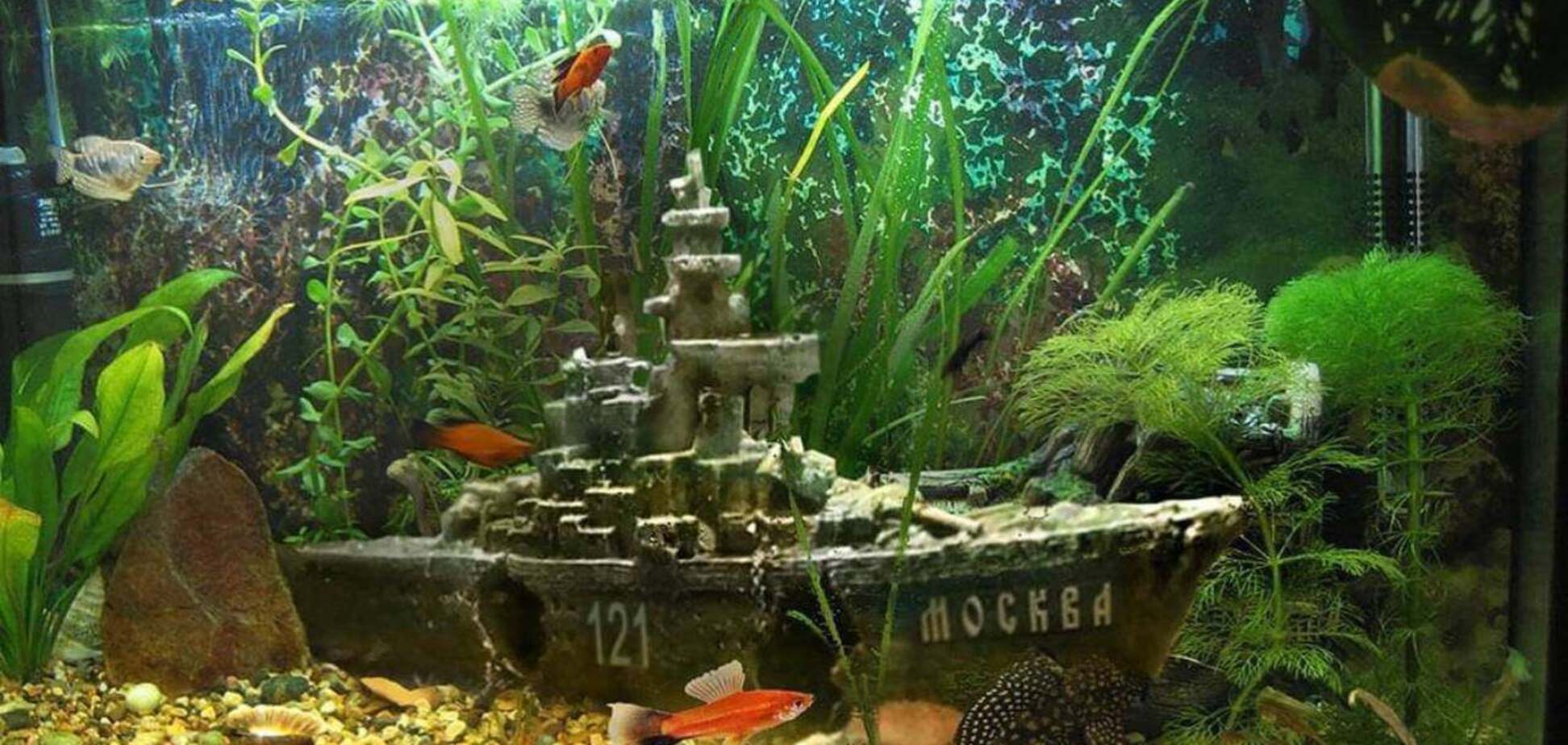 У чому слабке місце Росії