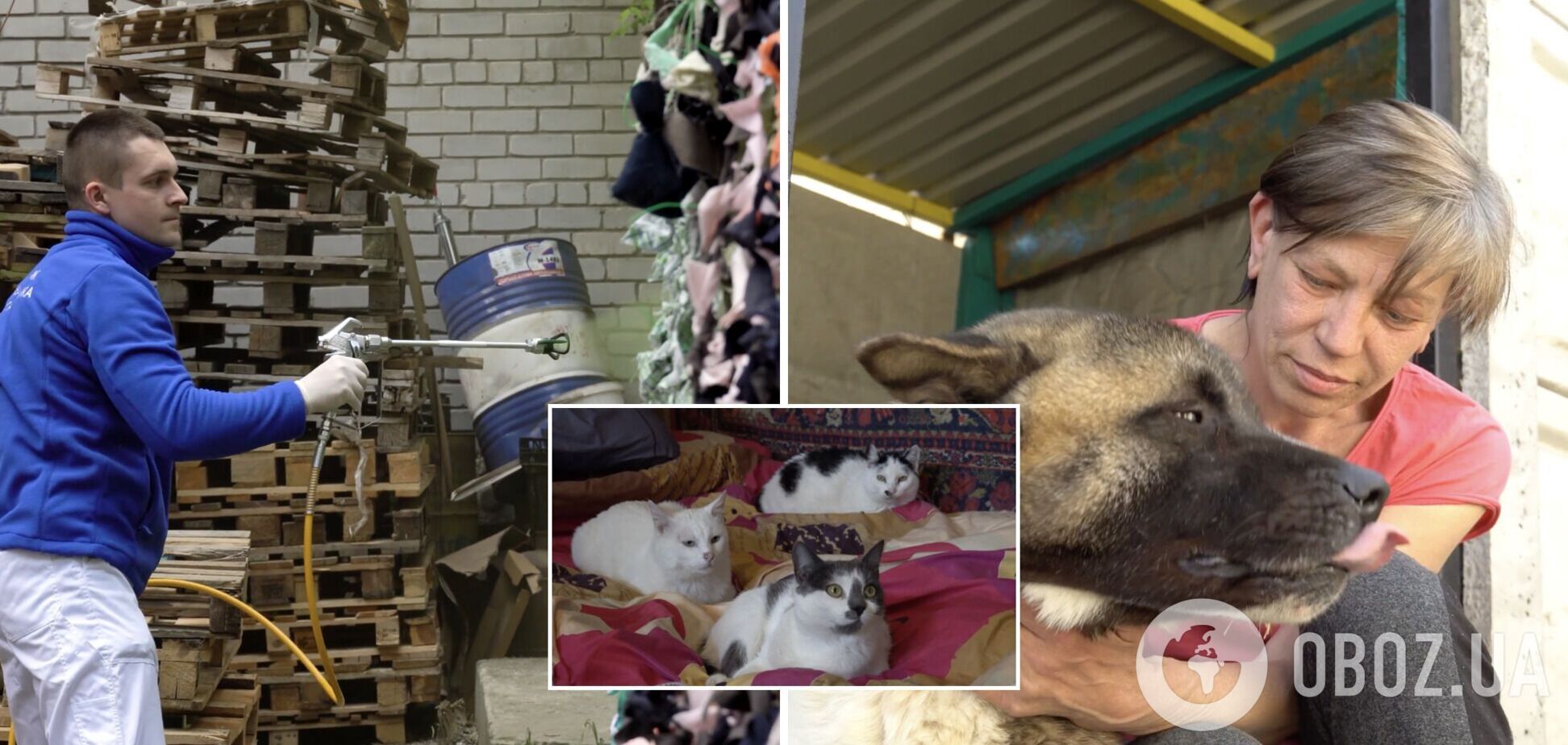 'TAPS-Украина' и волонтеры Днепра рассказали о помощи бойцам, переселенцам и животным