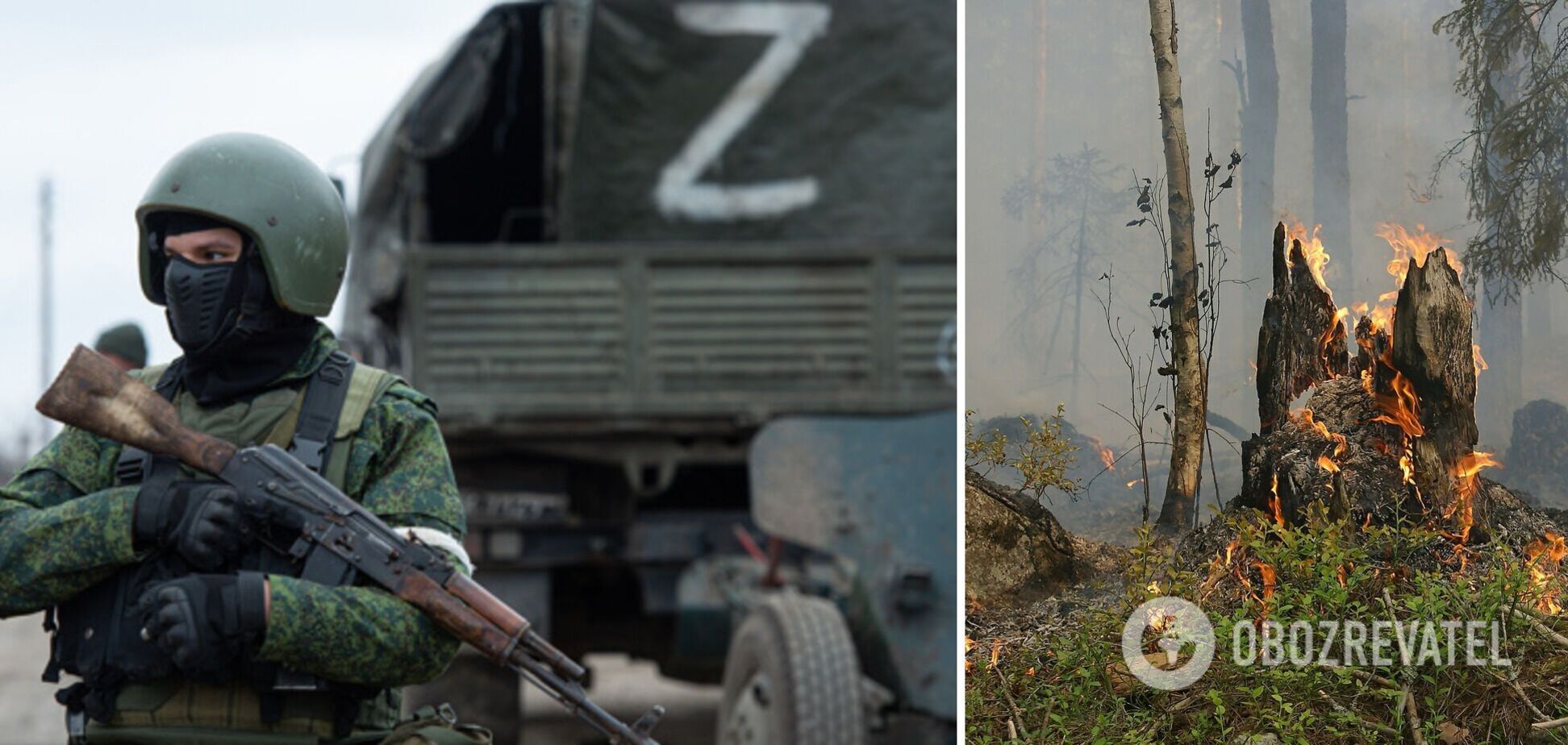 Российские оккупанты разграбили Изюмский лесхоз, риск возникновения пожаров резко возрос