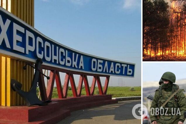 На Херсонщині вирують лісові пожежі, окупанти забороняють їх гасити