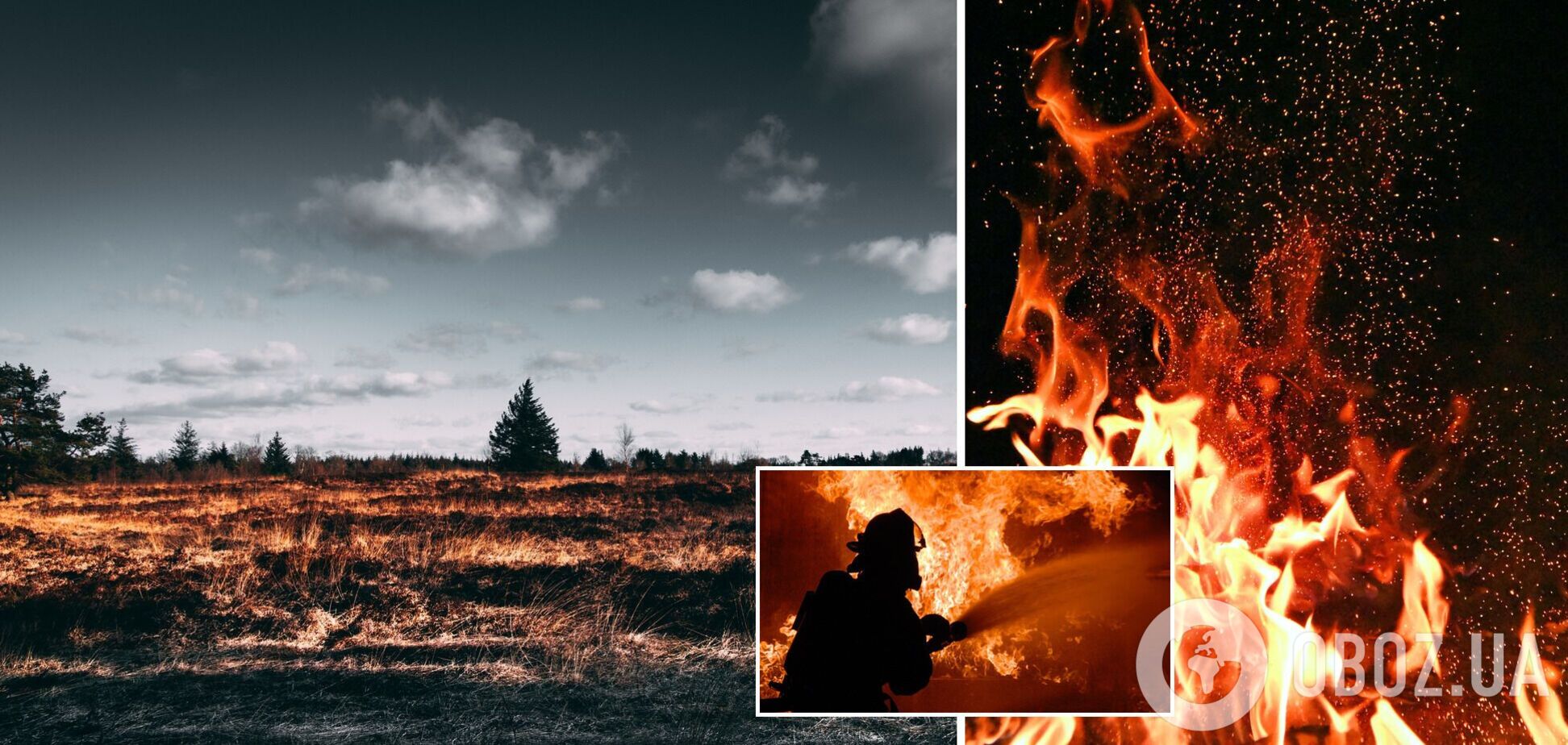 Лісові пожежі