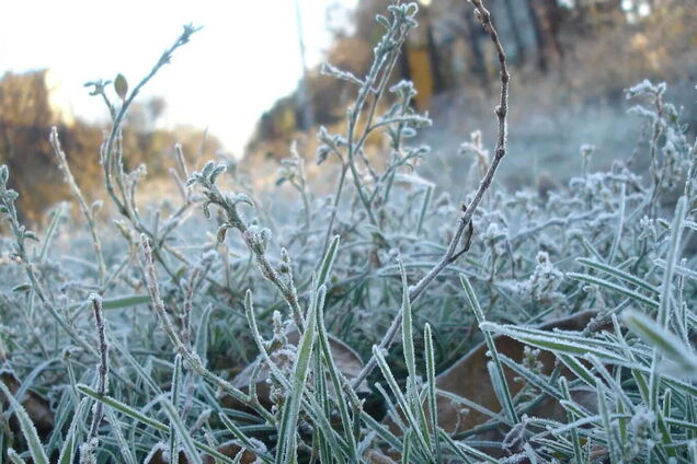 В области ожидаются ночные заморозки на поверхности почвы