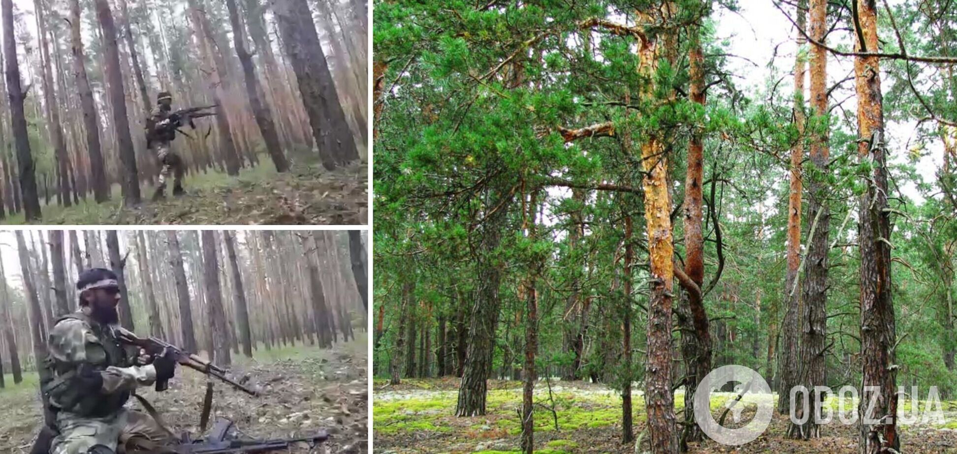 Кадыровские тиктокеры сняли на видео 'захват Украины', расстреливая деревья в лесу