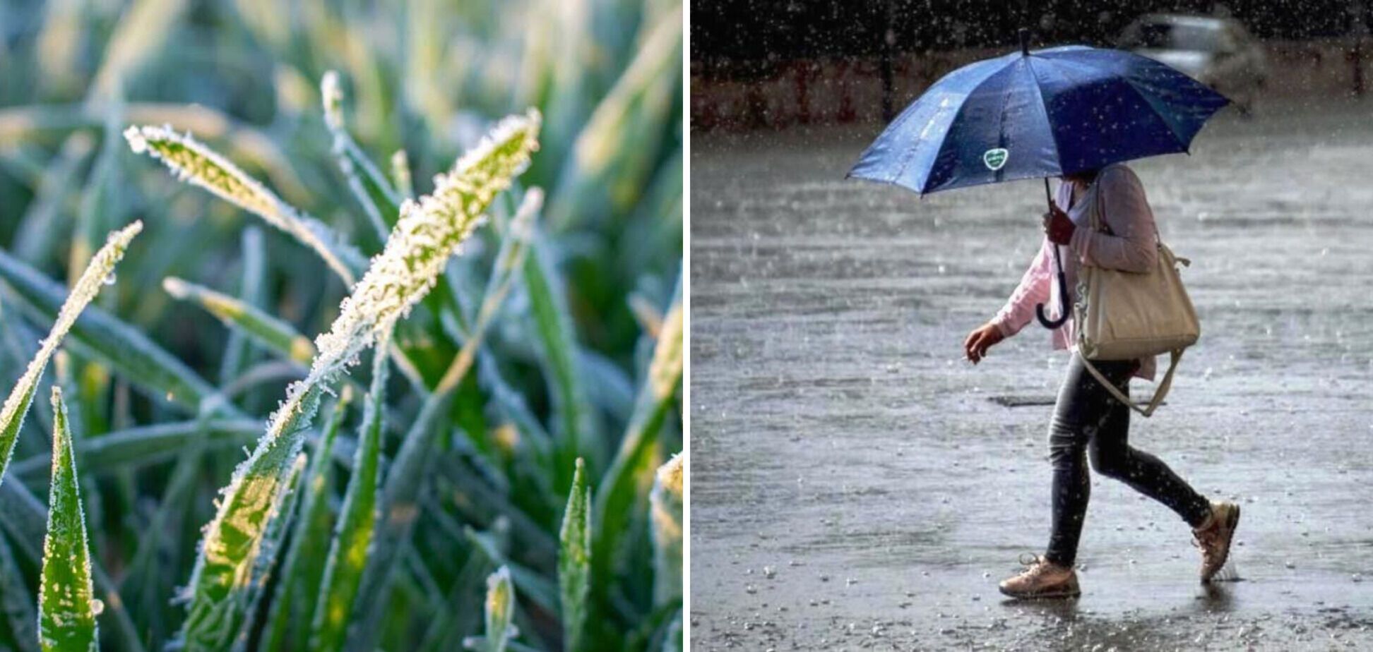 Дощі, грози та заморозки: синоптики дали прогноз погоди на наступний тиждень в Україні. Мапа
