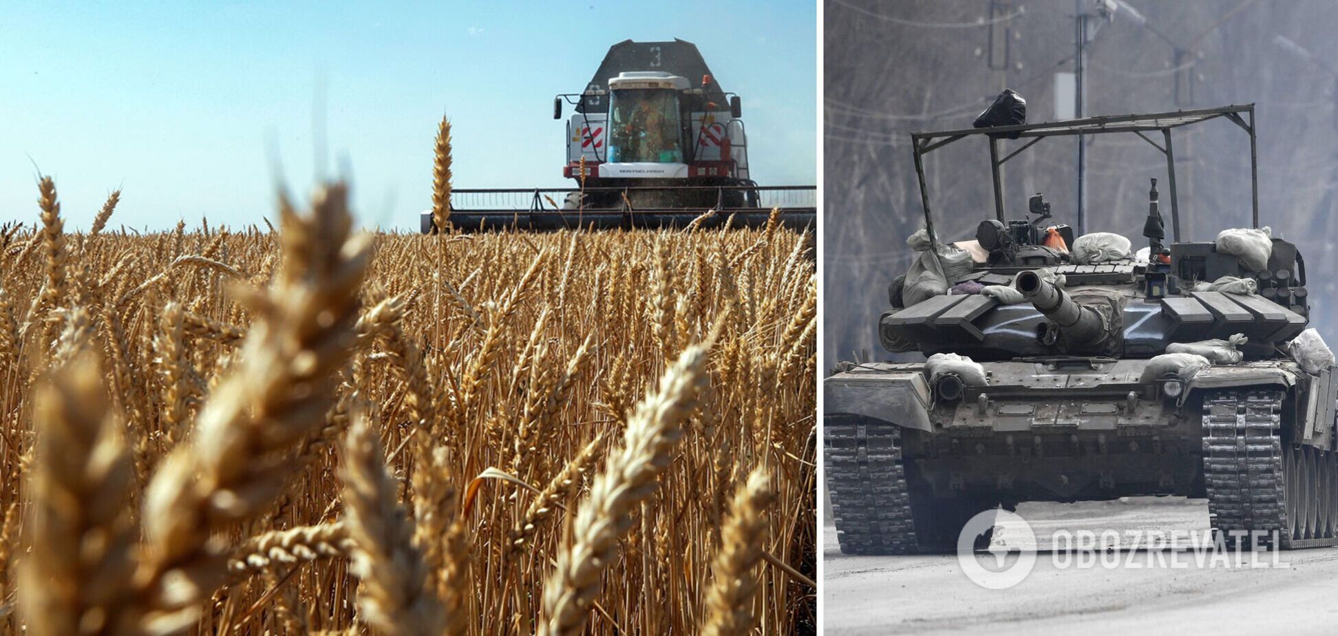 Урожай в Украине может сократиться 