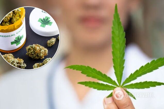 До Ради внесли законопроєкт про легалізацію медичного канабісу: ініціатором виступив Шмигаль