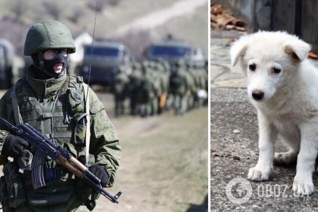 Російські командири продають пайки солдатів, ті змушені їсти собак. Перехоплення розмови