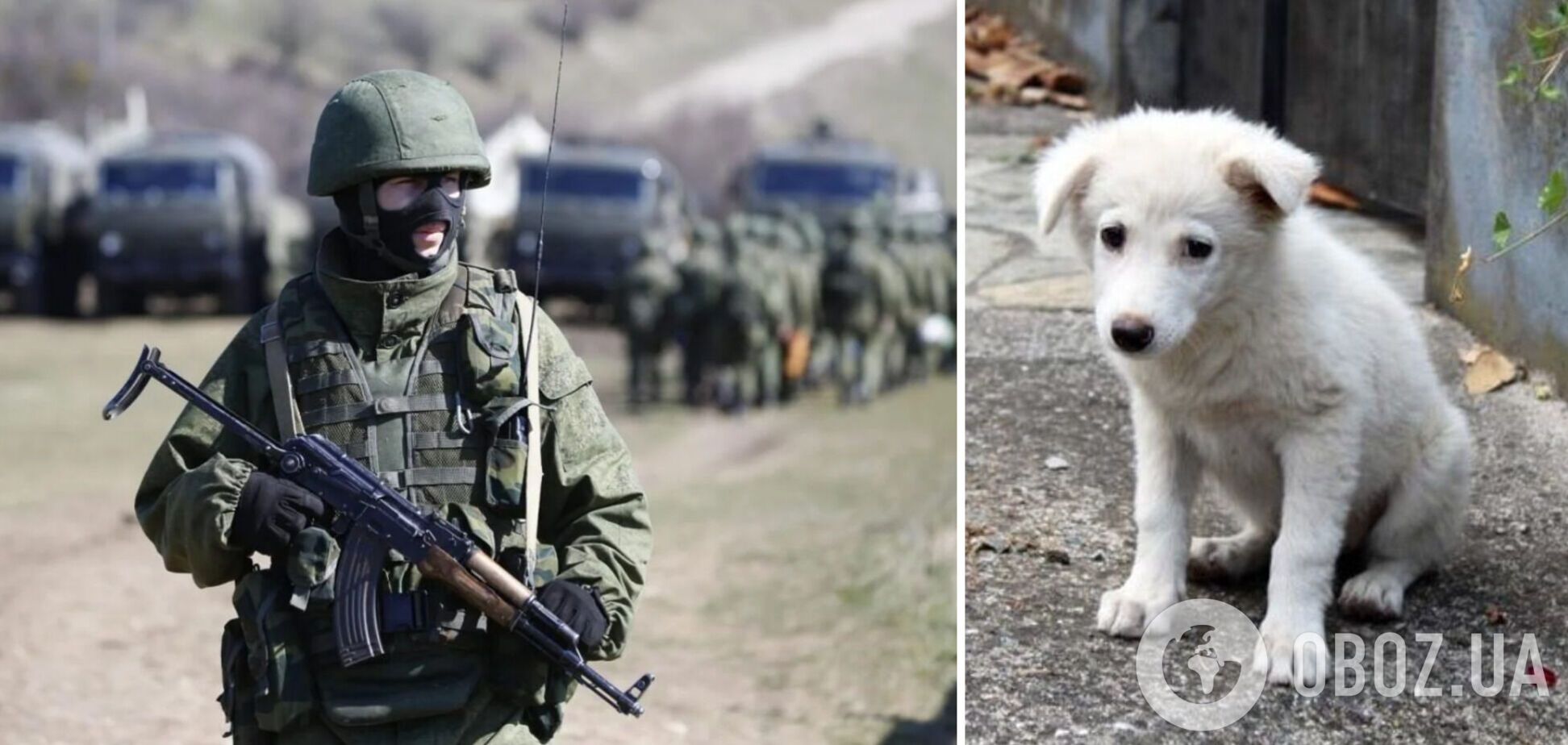 Российские командиры продают пайки солдат, те вынуждены есть собак. Перехват разговора