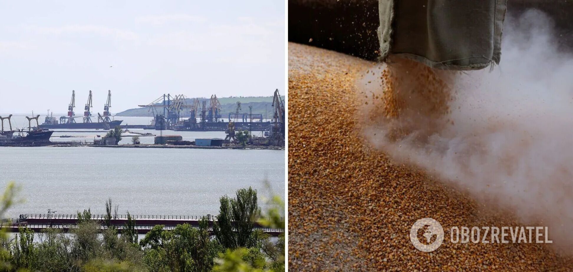 Зерно из Мелитополя вывозят в порт Бердянска