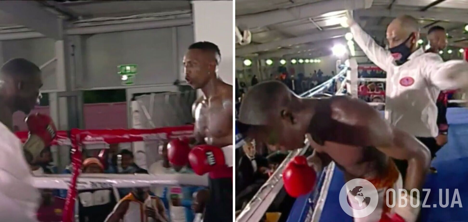 Непереможний боксер у чемпіонському бою почав битися з невидимкою та помер. Відео