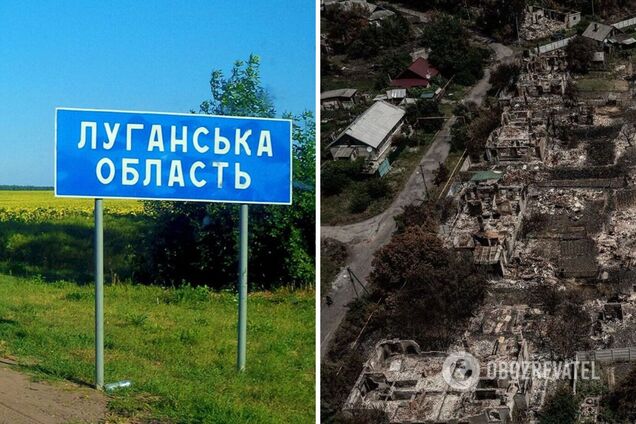 Так виглядає російська тактика 'випаленої землі': з'явилися фото 'звільненого' Привілля на Луганщині