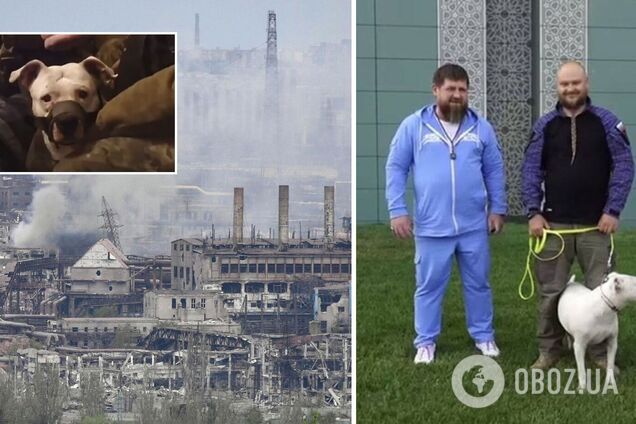 Окупанти, які захопили Маріуполь, вкрали собаку захисниці 'Азовсталі' і подарували Кадирову. Відео